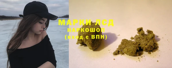 мет Алексин