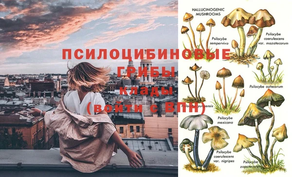 трава Алзамай